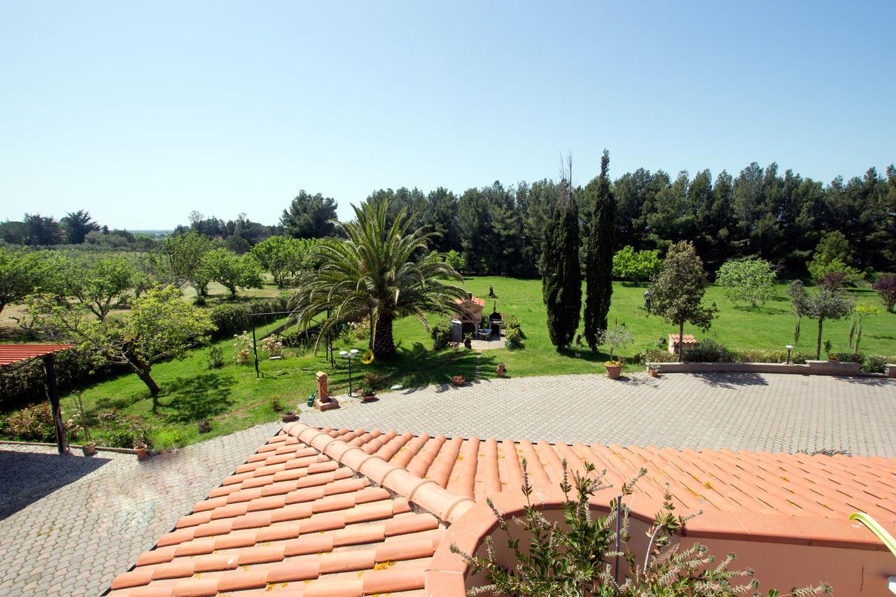 Mandrioli * Cecina (Livorno)