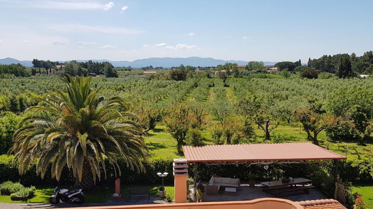 Mandrioli Farm stay Cecina (Livorno)