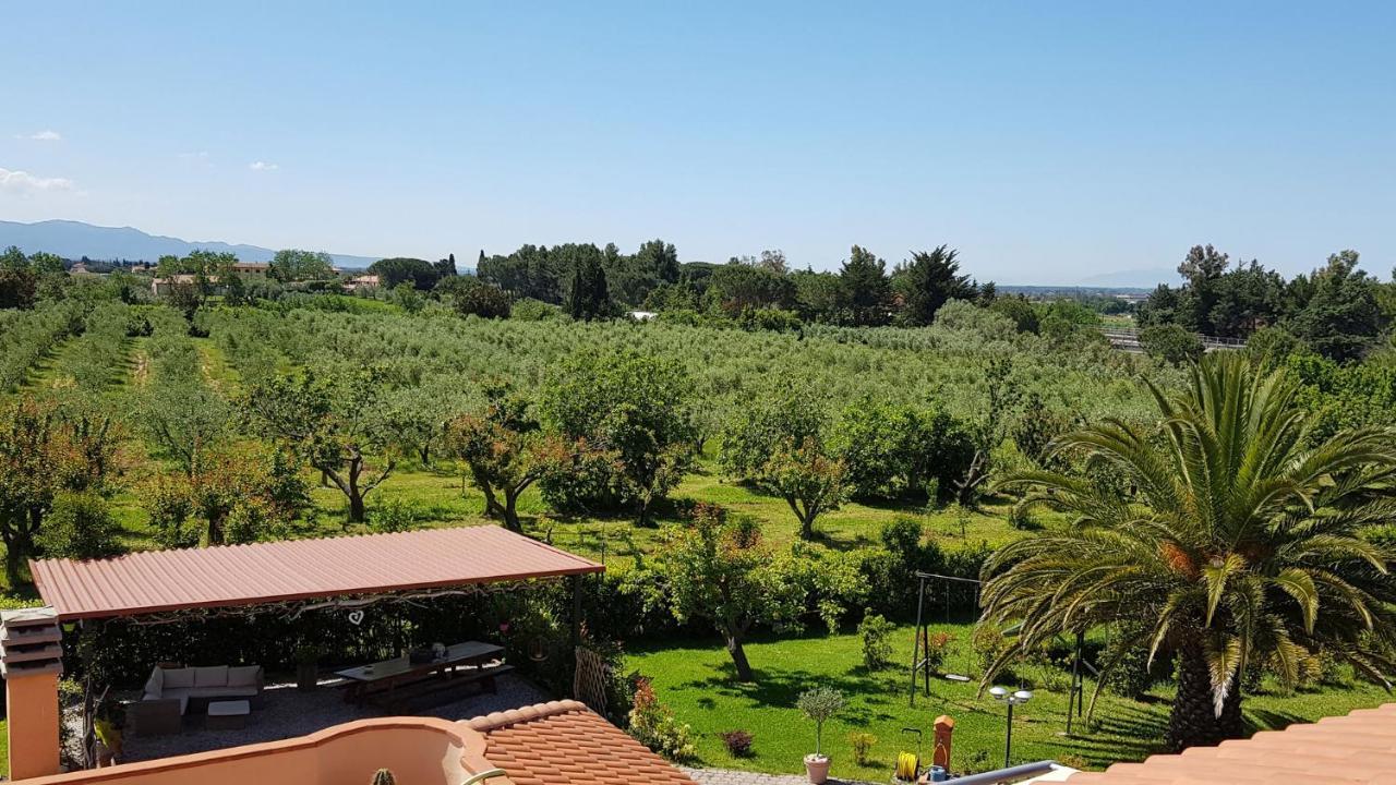 Mandrioli * Cecina (Livorno)